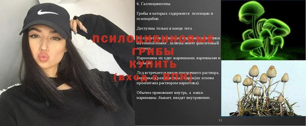 а пвп мука Богородицк