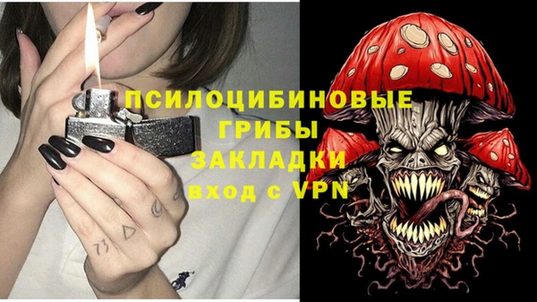 Альфа ПВП Белокуриха