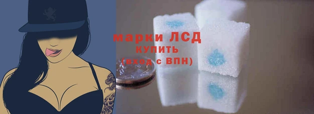 сатива Белоозёрский