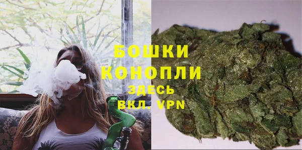 сатива Белоозёрский